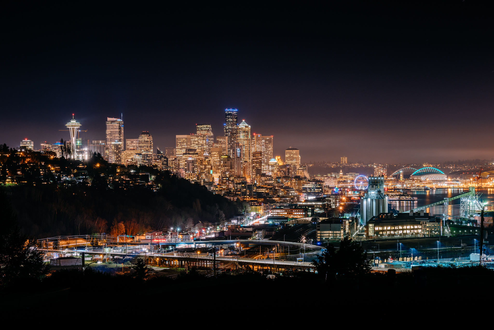 Seattle at night from Ella Bailey Park