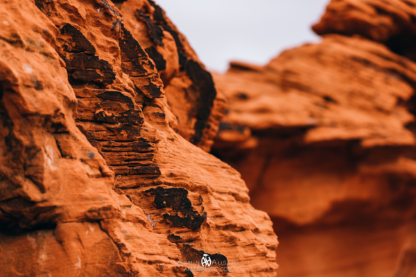 The Valley of Fire