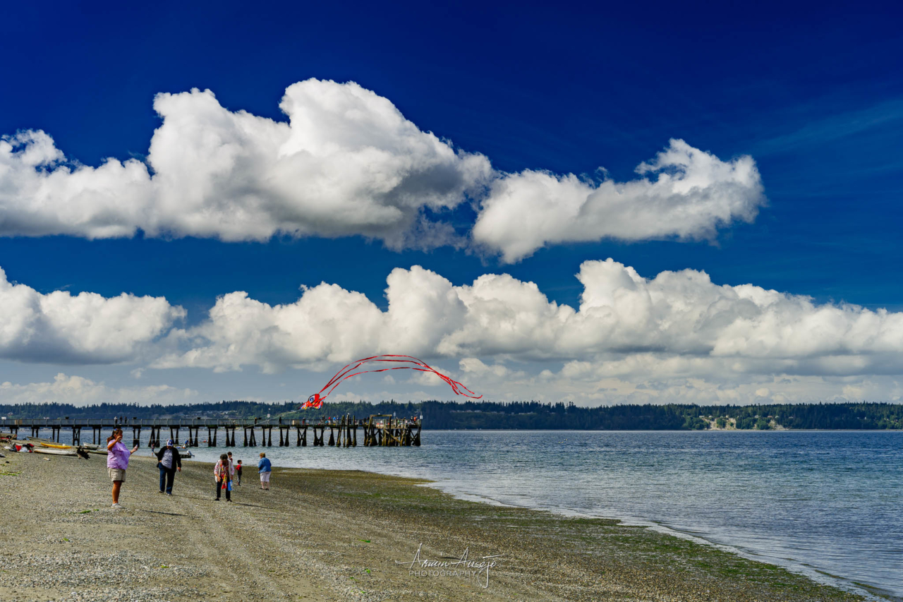 Kayak Point, August 2020