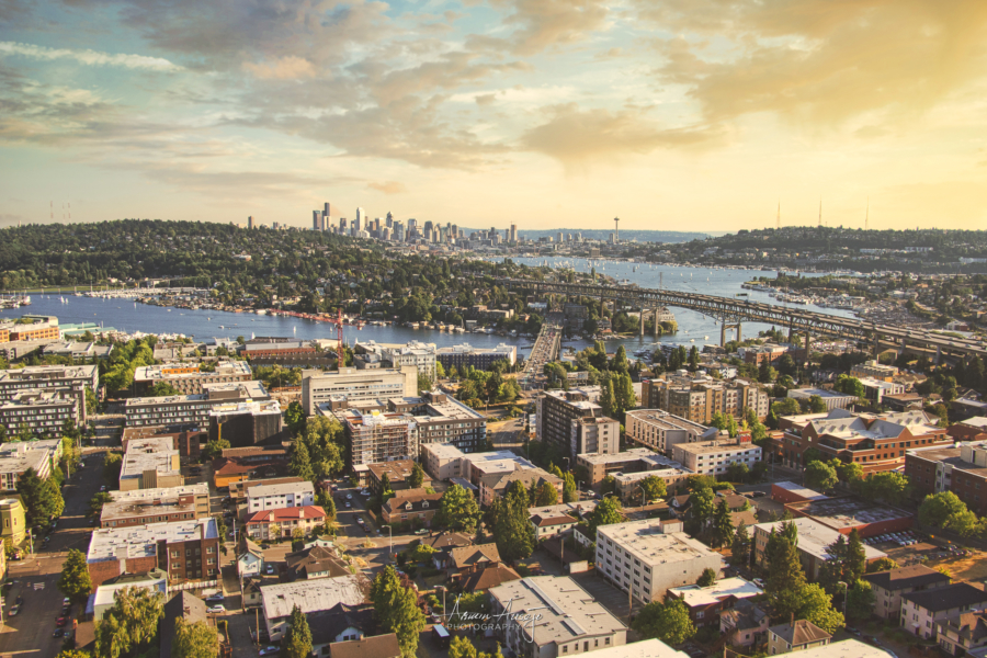 Downtown Seattle from UW Tower, 2014