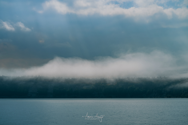 Clouds, fog and god rays