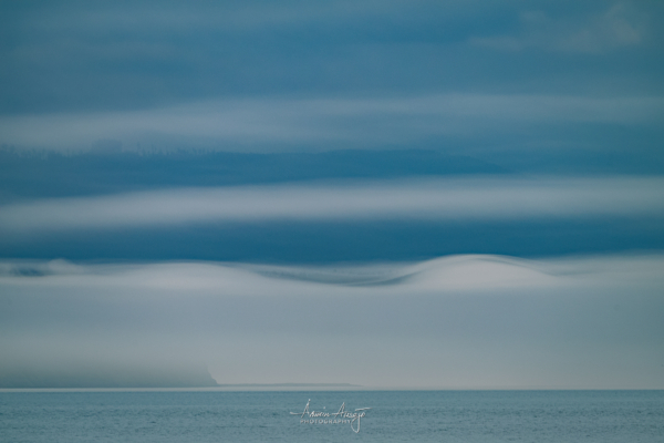 Clouds and fog on the Olympic Peninsula