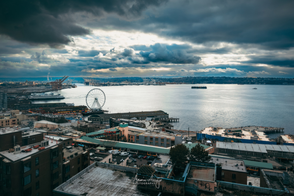 Elliot Bay from above
