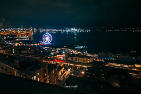 Elliot Bay from above