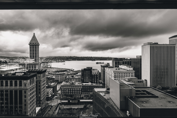 Smith Tower and Elliot Bay