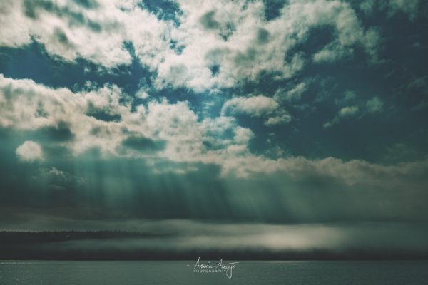 Clouds, fog and god rays