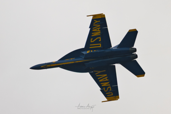 Blue Angels at the Seafair Airshow in August