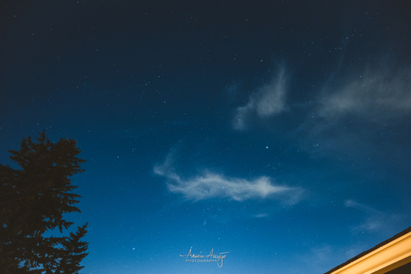 Winter Constellations