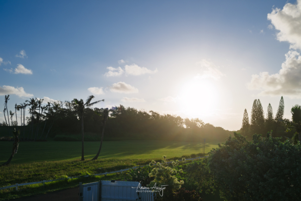 North Shore sunrise