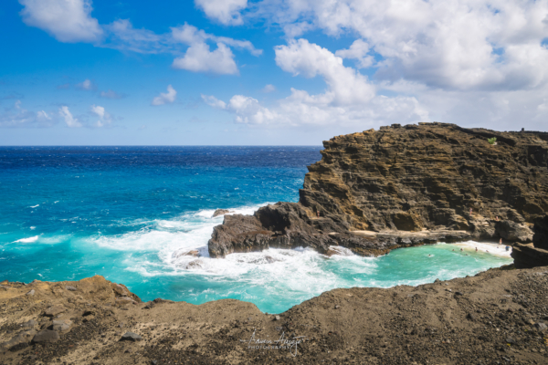 Halona Cove