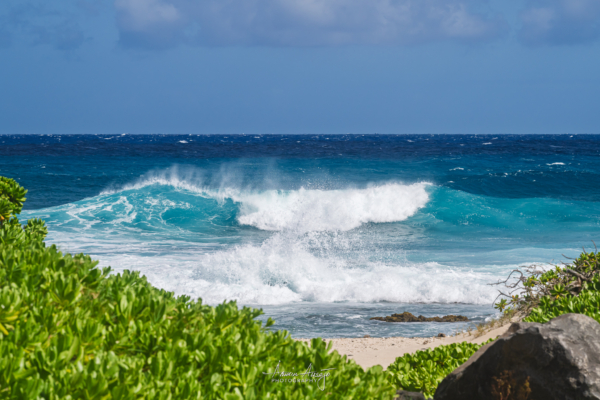 Waves crashing on the east coast of Oahu