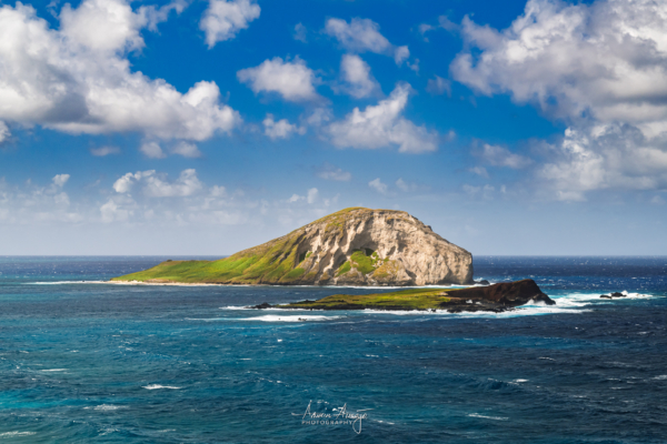 Mānana Island and Kāohikaipu Islet Seabird Sanctuaries
