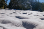 Frozen divets in the snow at Fluke Park